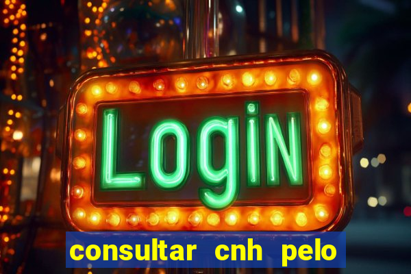 consultar cnh pelo cpf sp